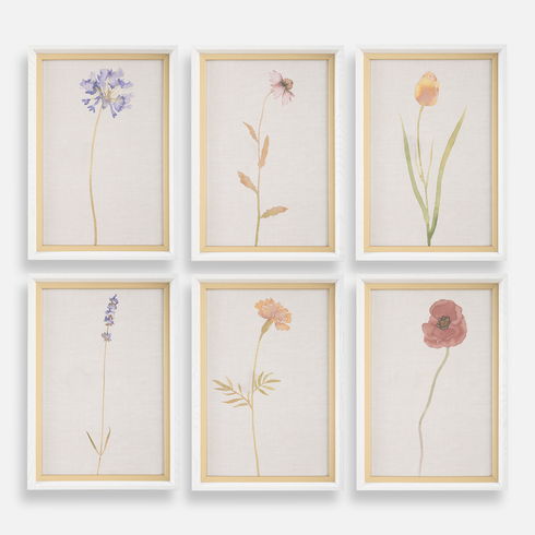 Wild Flourish Framed Floral Prints Set/6