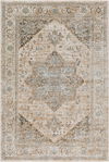 Brunswick Machine Woven Rug, by Surya, 1'3.75" length x 1'3.75" width thumbnail