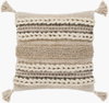 Tov Accent Pillow, Decorative Pillow by Surya, 22" length x 22" width thumbnail