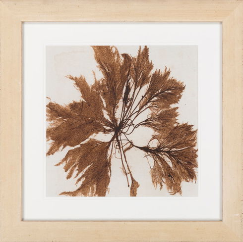 Surya Wall Decor