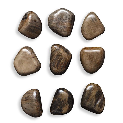 Pebbles Walnut Wood Wall Décor Set/9