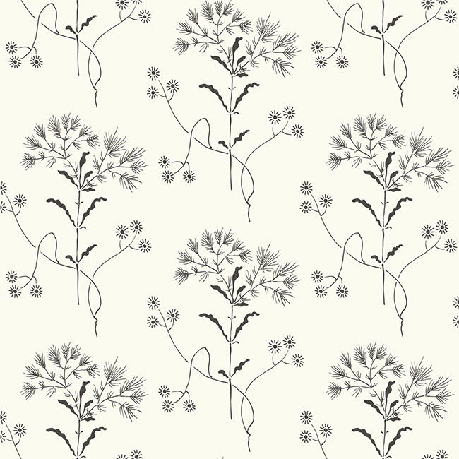 Wildflower Black & White Wallpaper large image 