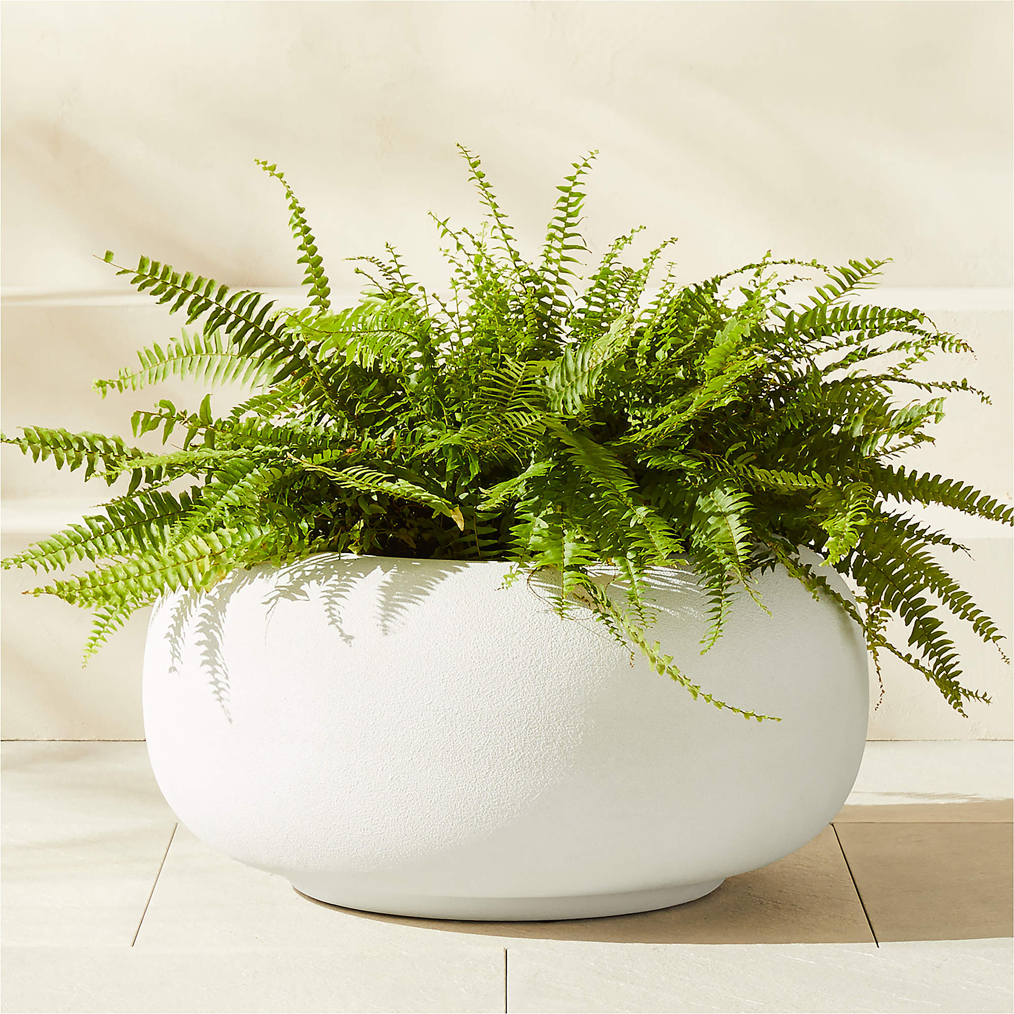 Online Designer Hallway/Entry Anique Round White Cement Indoor/Outdoor Planter Short