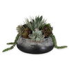 Yuma Succulent Centerpiece thumbnail 0