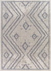 Tuareg Machine Woven Rug thumbnail 0