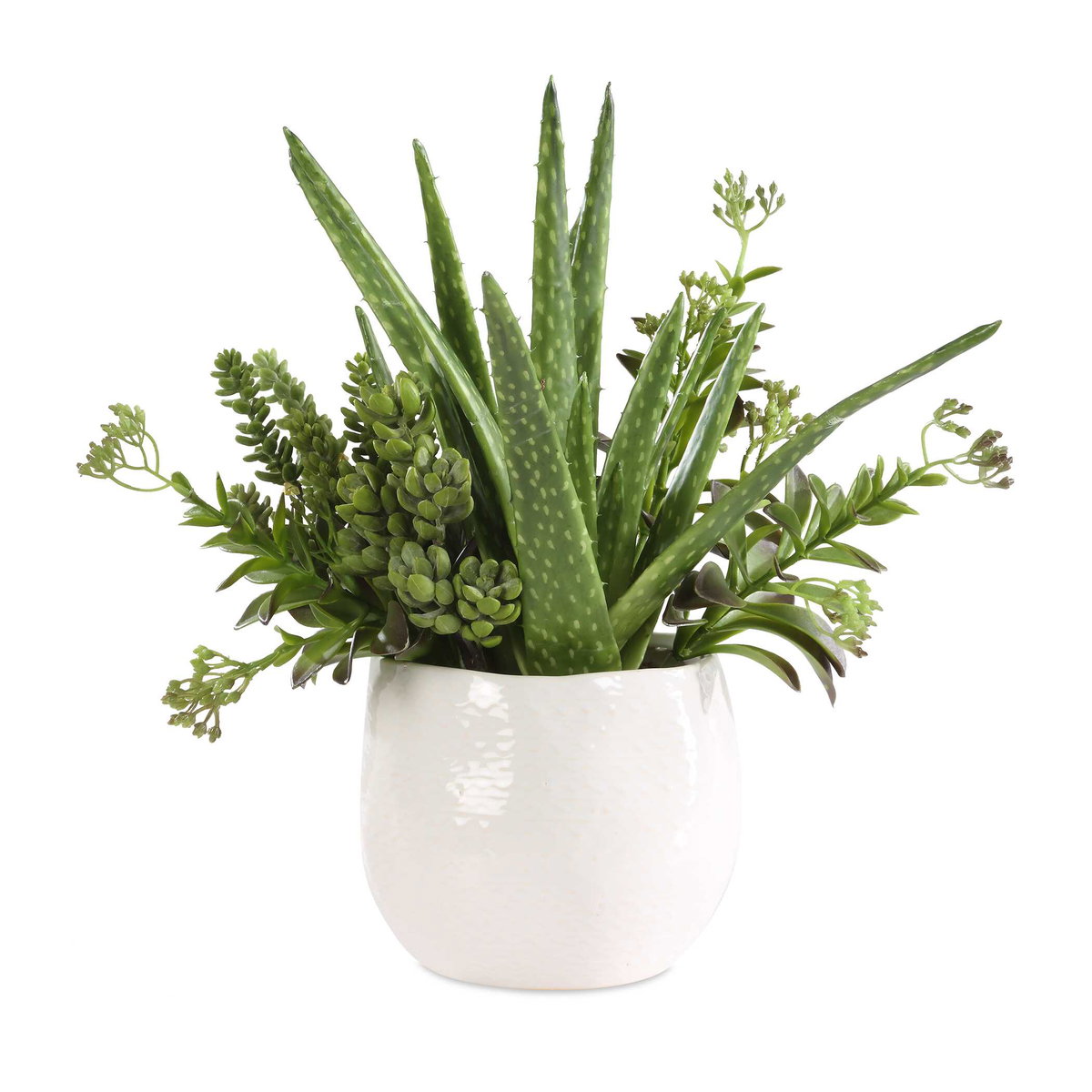 Sundown Succulent Accent Planter, by Uttermost, 14" width x 16.5" height x 13" depth View 1