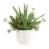 Sundown Succulent Accent Planter, by Uttermost, 14" width x 16.5" height x 13" depth thumbnail 1