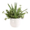 Sundown Succulent Accent Planter thumbnail 0