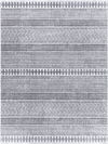 Eagean Machine Woven Rug, by Surya, 7'10.49" length x 7'10.49" width thumbnail