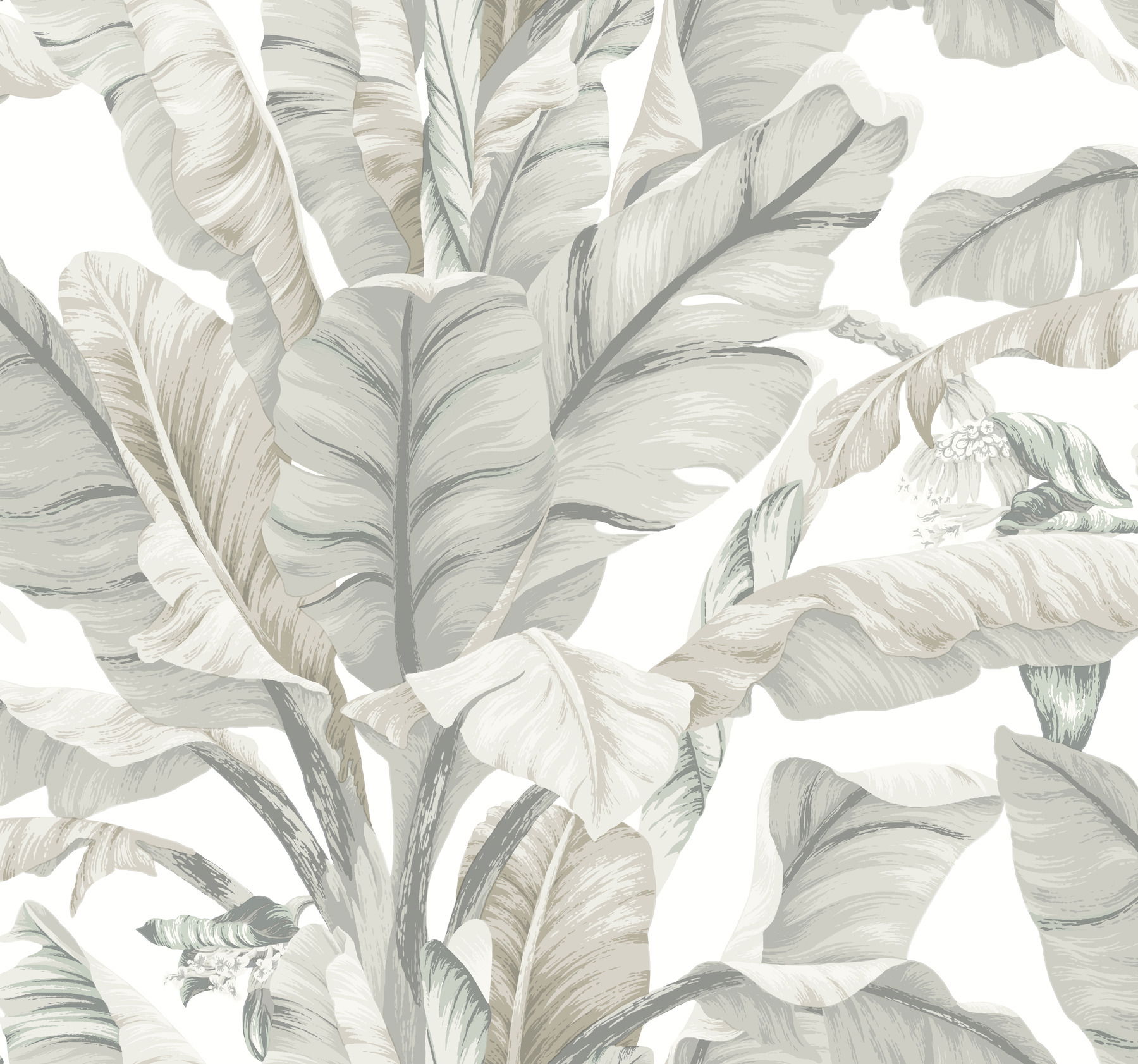 Banana Leaf White & Cream Wallpaper large image 
