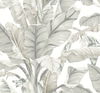 Banana Leaf White & Cream Wallpaper thumbnail 0