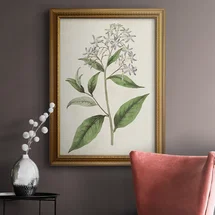 Online Designer Dining Room " Antique Botanical Collection XII " Painting Print