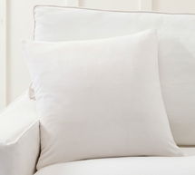 Online Designer Other Everywhere Velvet Pillow & Down Feather Insert Bundle, 20" x 20", Ivory