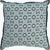 Francesco Accent Pillow, Decorative Pillow by Surya, 20" length x 20" width thumbnail