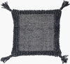 Alaric Accent Pillow, Decorative Pillow by Surya, 18" length x 18" width thumbnail