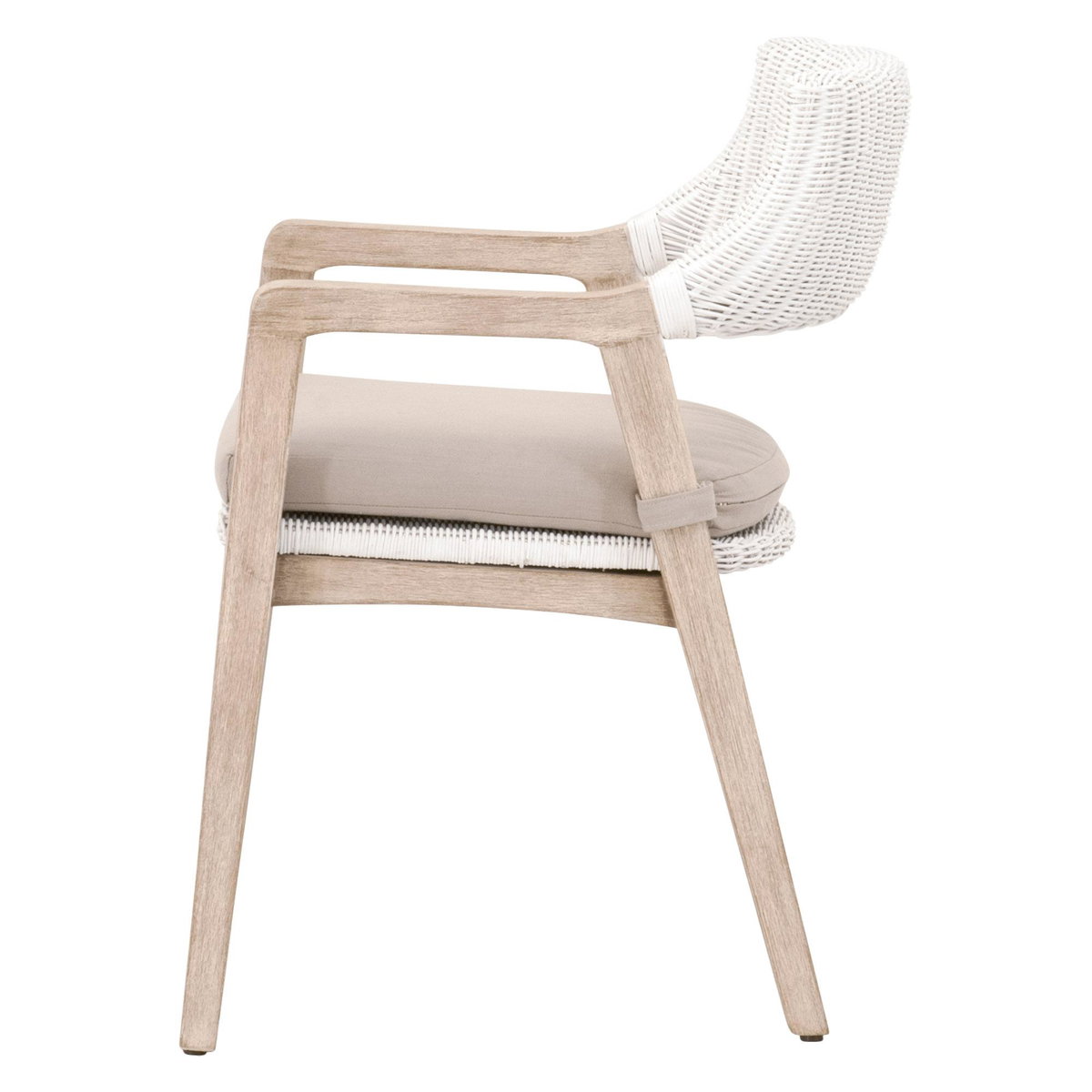 Lucia Arm Chair, Dining Chair by Essentials for Living, 22" width x 31.5" height x 24" depth View 3