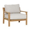 Lexy Outdoor Occasional Chair Taupe, Accent Chair by Dovetail, 32" width x 27" height x 32" depth thumbnail 1