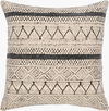 Janya Accent Pillow, Decorative Pillow by Surya, 18" length x 18" width thumbnail