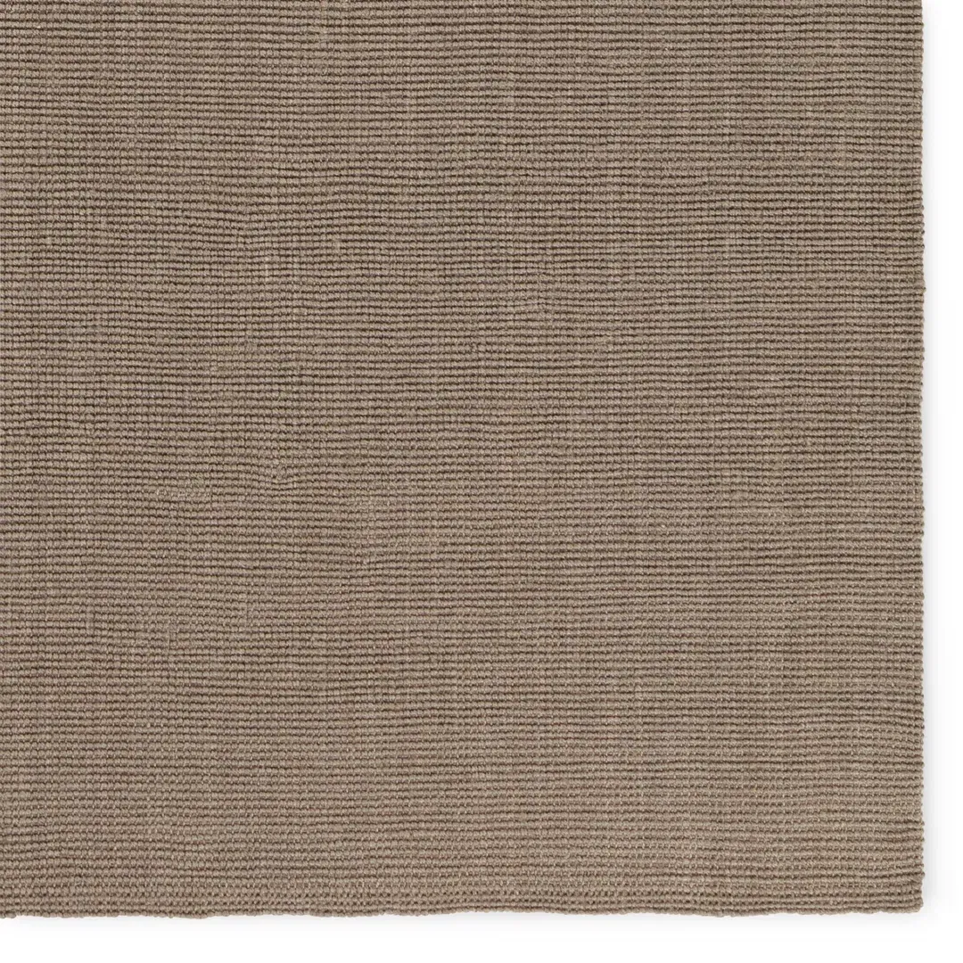 Alyster Natural Solid Taupe Area Rug (8'X10') large image 
