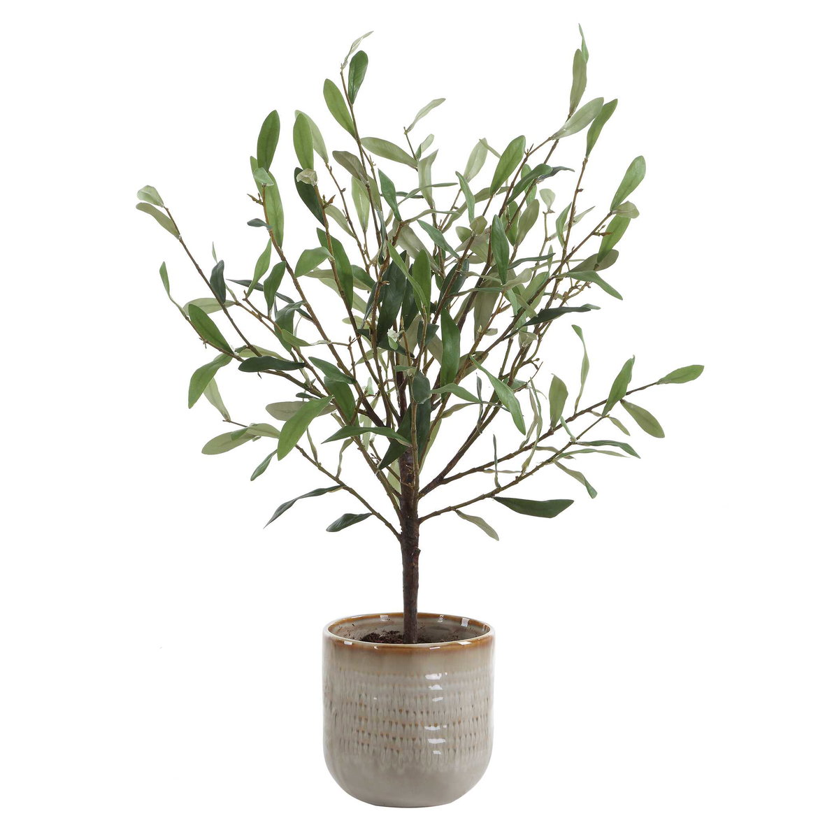 Solea Olive Accent & Textured Vase, Artificial Plants & Flower by Uttermost, 17.75" width x 22.75" height x 13.5" depth View 4