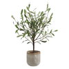 Solea Olive Accent & Textured Vase, Artificial Plants & Flower by Uttermost, 17.75" width x 22.75" height x 13.5" depth thumbnail 4