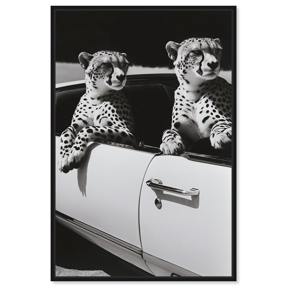 Convertible Feline II (No Embellishment), Art by Oliver Gal,  20x30 View 1