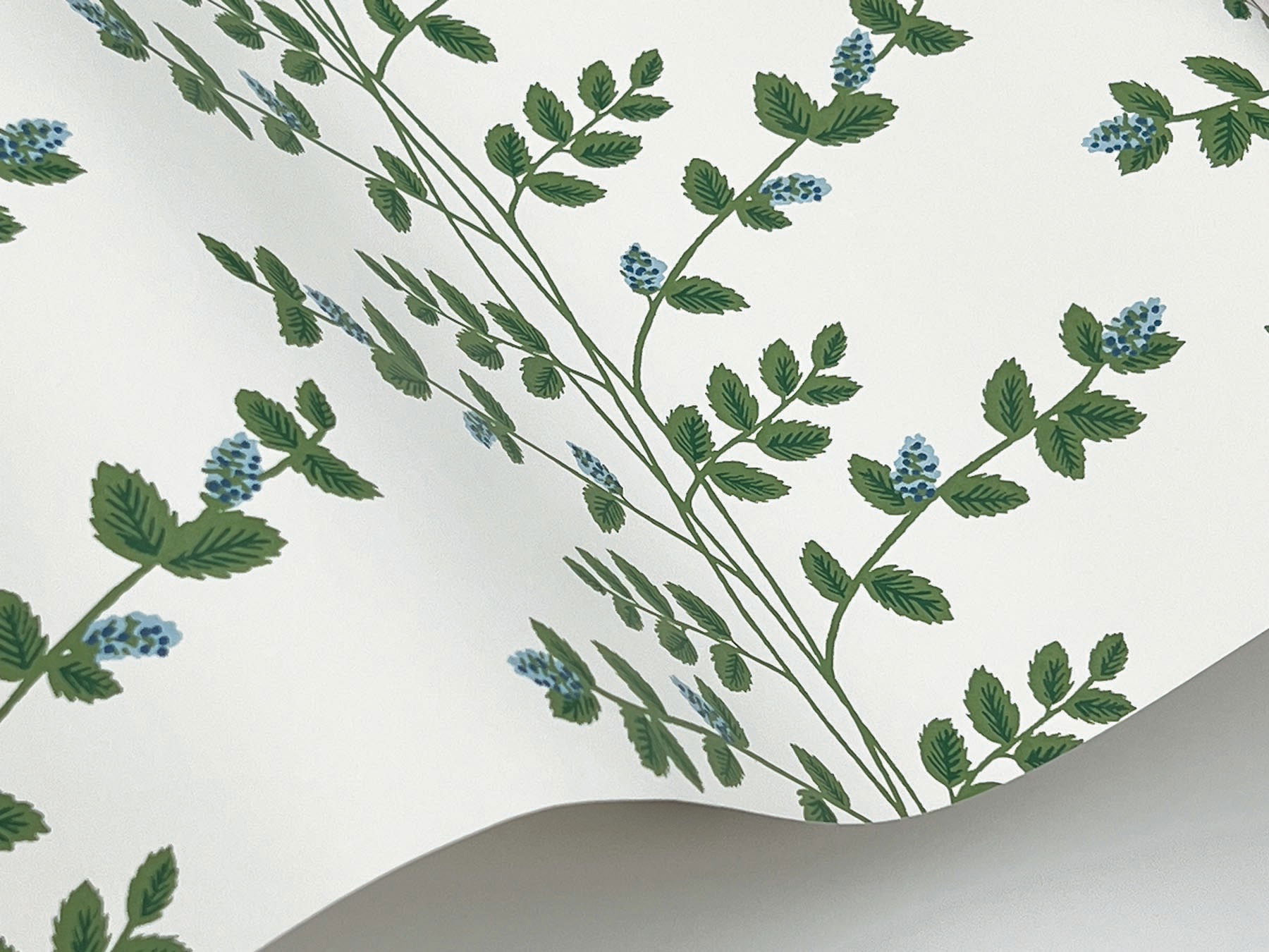 Climbing Vine Blue Wallpaper large image 