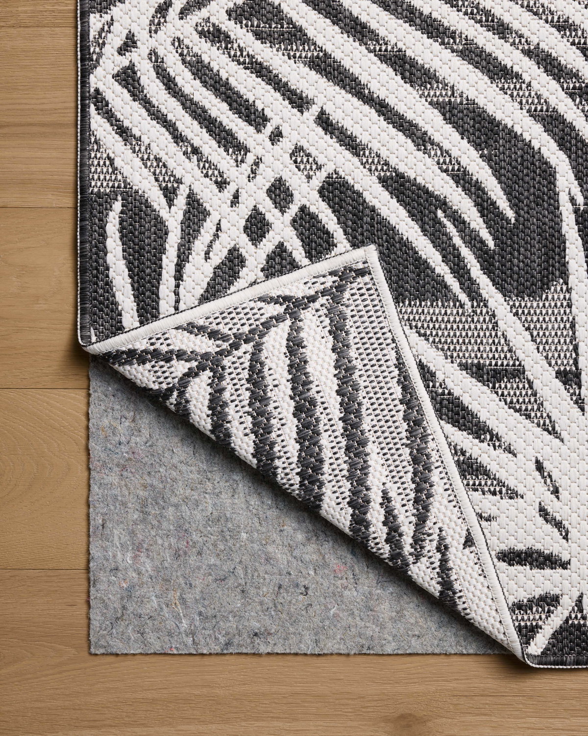 Loloi Easton Rug, 1'6" length x 1'6" width View 7