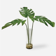 Online Designer Hallway/Entry Ibero Split Leaf Palm