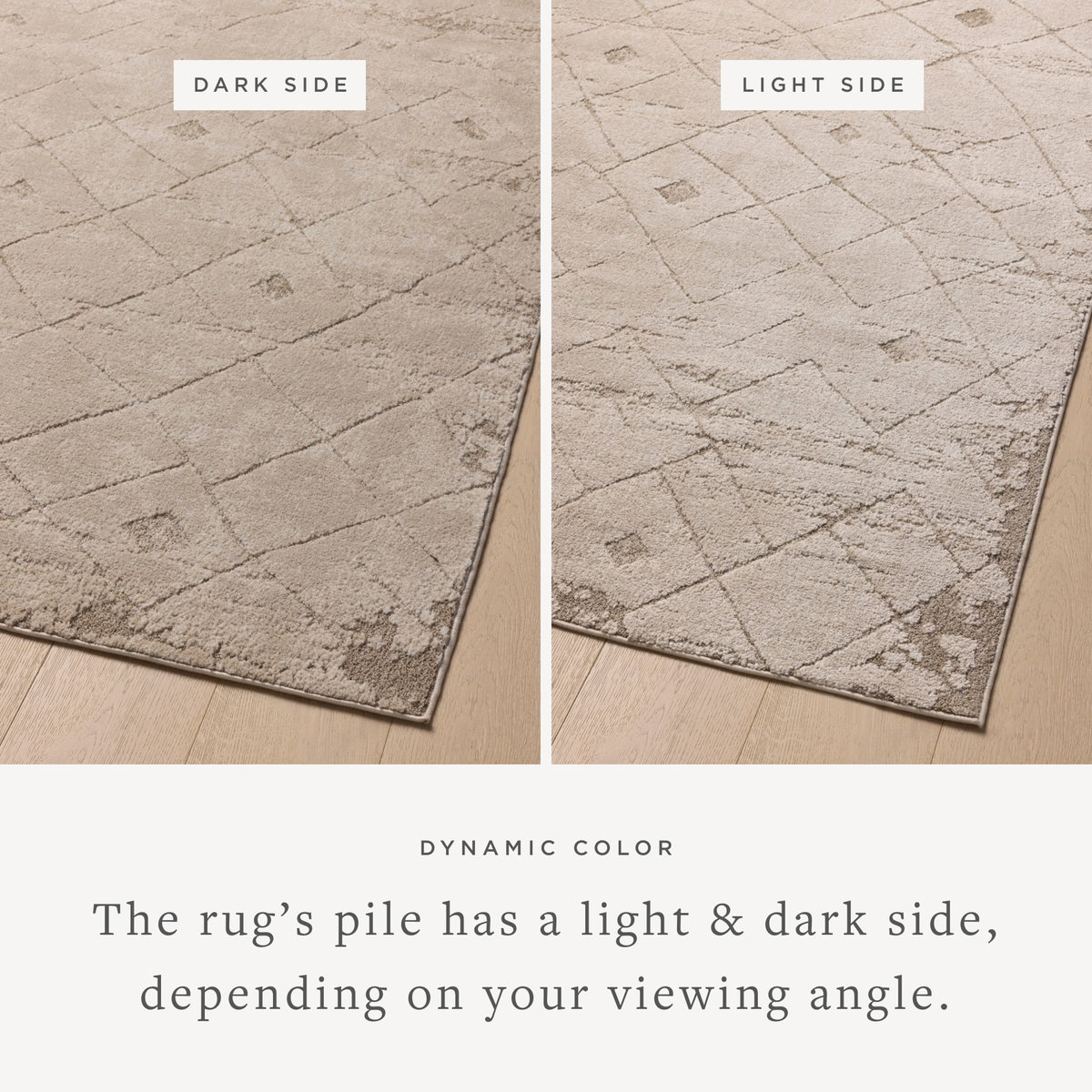 Amber Lewis x Loloi Monty Rug, 4' length x 6' width View 3