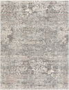 Presidential Machine Woven Rug, by Surya, 15'6.22" length x 11'6.19" width thumbnail