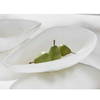 Marchena White Bowl, Decorative Tray by Uttermost, 16" width x 4.5" height x 10" depth thumbnail 5