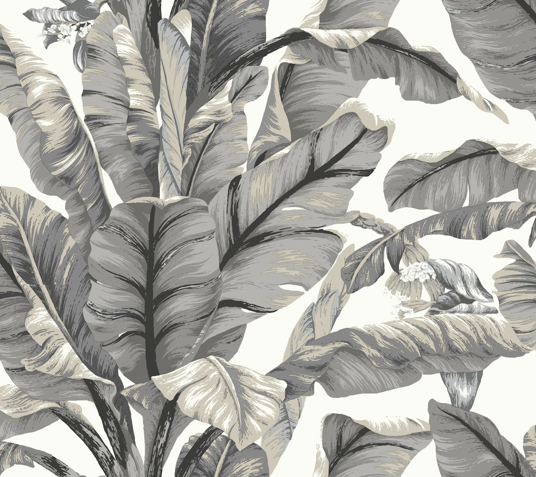 Banana Leaf White & Black Peel & Stick Wallpaper large image 
