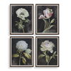 Florals On Black Framed Prints Set/4, Painting by Uttermost, 20" width x 26" height x 1.37" depth thumbnail 1