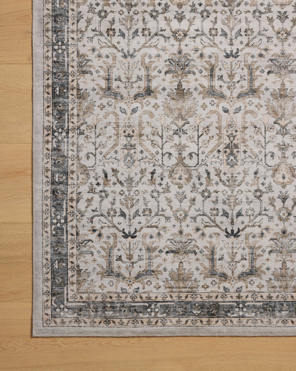 Loloi Anniston Rug, 5' length x 7'6" width View 10