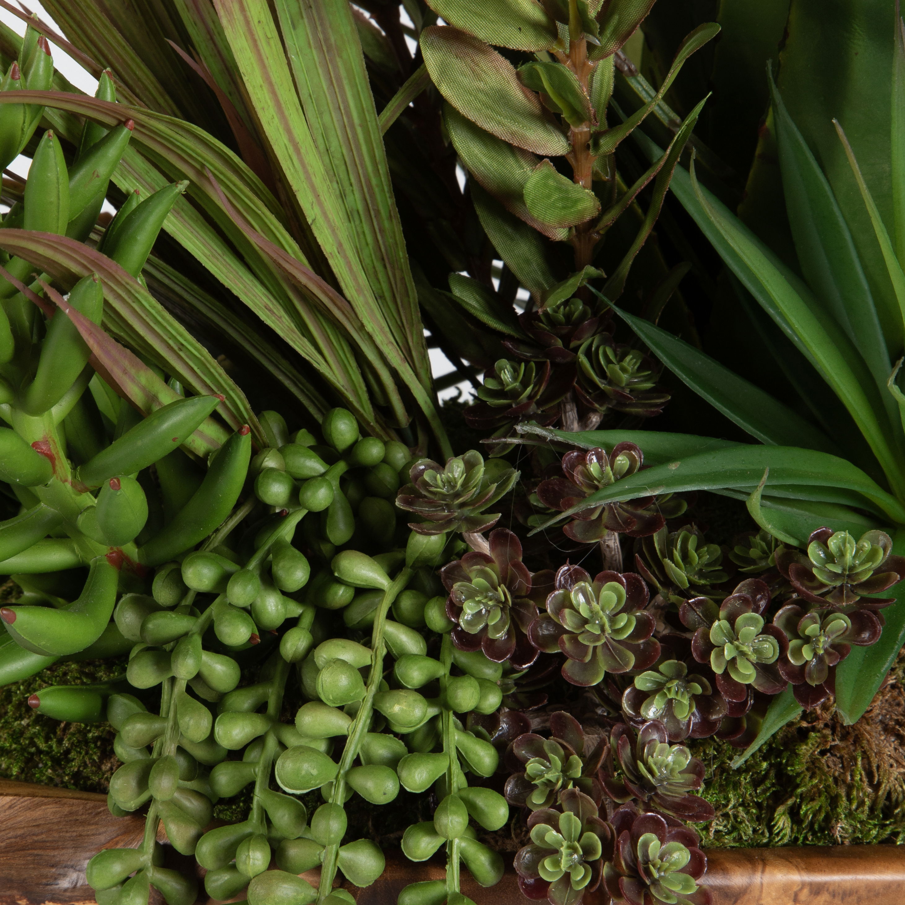 Salar Succulents In Teak Bowl large image 