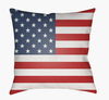 Americana Accent Pillow thumbnail 0