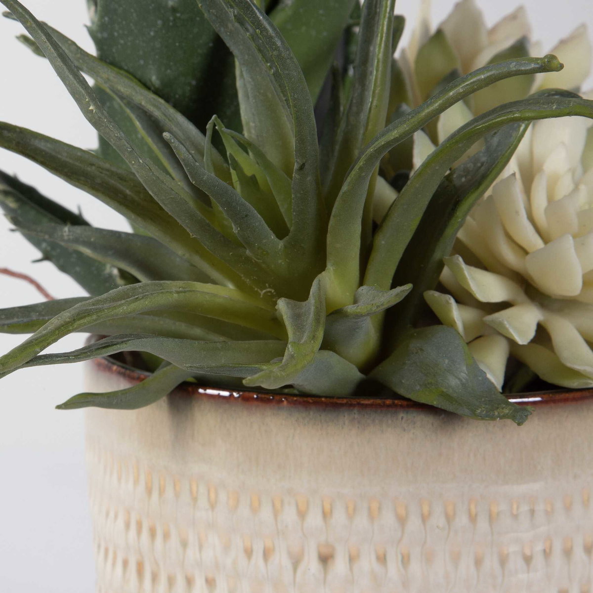Seaside Succulents Set/2, Artificial Plants & Flower by Uttermost, 9" width x 12" height x 7" depth View 5