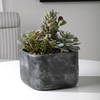 Alverio Desert Garden Succulents, Artificial Plants & Flower by Uttermost, 9.25" width x 9.5" height x 10.75" depth thumbnail 2