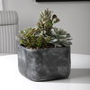 Alverio Desert Garden Succulents, Artificial Plants & Flower by Uttermost, 9.25" width x 9.5" height x 10.75" depth thumbnail 2