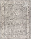 Davina Machine Woven Rug, by Surya, 3'9.28" length x 2'2.22" width thumbnail