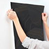 Dotted Maze Black Wallpaper thumbnail 5