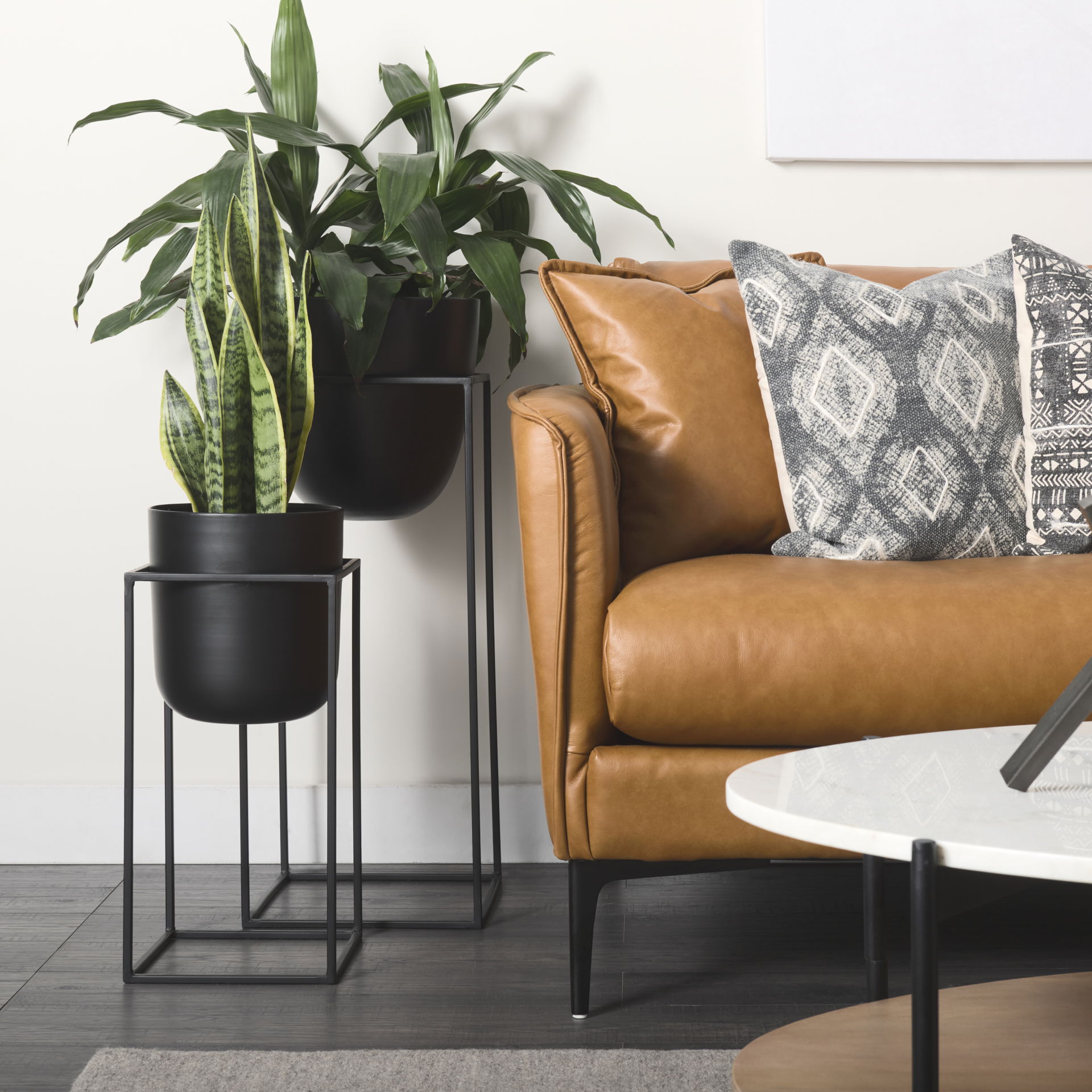 Bumble (Set of 2) 12L x 12W x 32H Black Plant Stands, Planter by Mercana, 11.81" length x 11.81" width x 31.89" height View 4