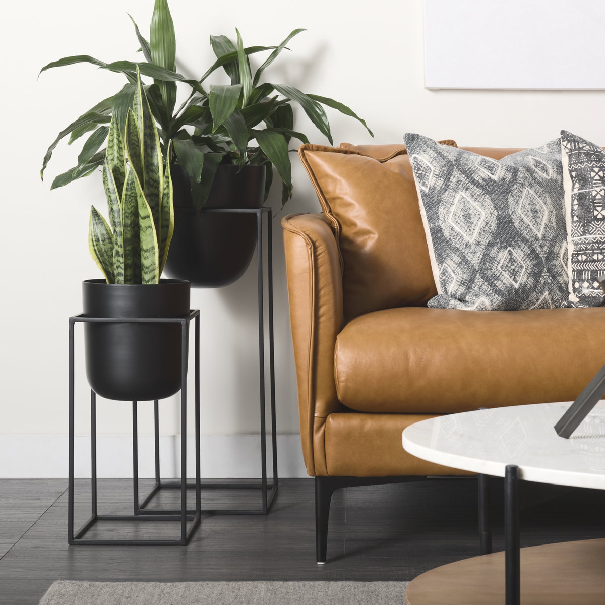 Bumble (Set of 2) 12L x 12W x 32H Black Plant Stands, Planter by Mercana, 11.81" length x 11.81" width x 31.89" height View 4