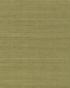Maguey Sisal Fern Wallpaper thumbnail 0
