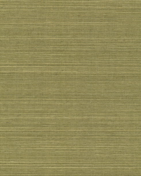 Maguey Sisal Fern Wallpaper
