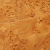 Indus Burl Side Table thumbnail 6