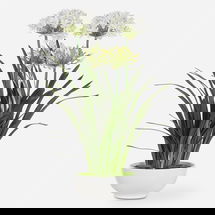 Online Designer Living Room Purity Agapanthus Centerpiece
