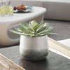Dudleya Gray Outdoor Succulent, Decorative by Uttermost, 10" width x 9" height x 10" depth thumbnail 2