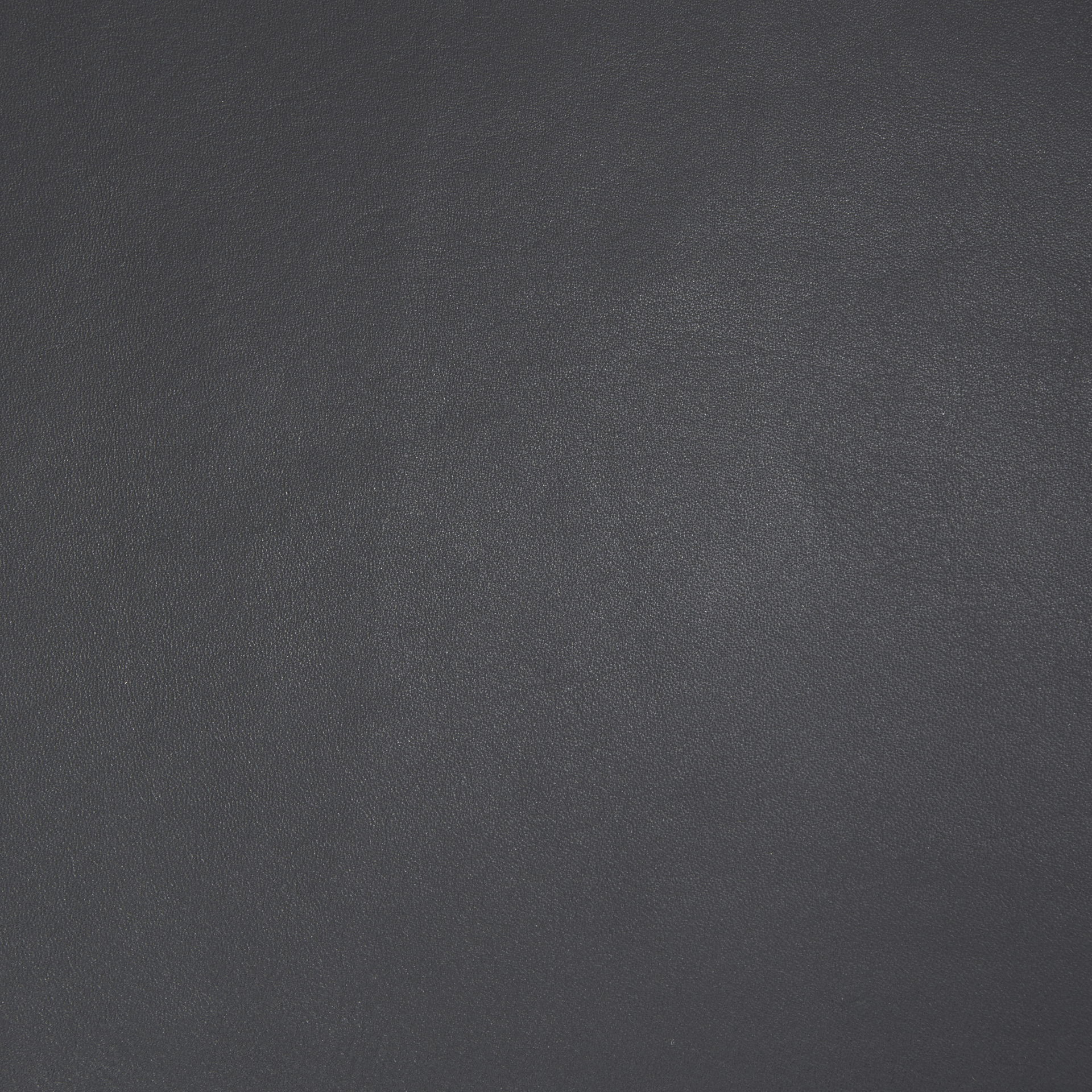 Jessie 55L x 16W Black Leather Seat with Gold Metal Base Accent Bench, Benche by Mercana, 55" length x 16" width x 20" height View 3